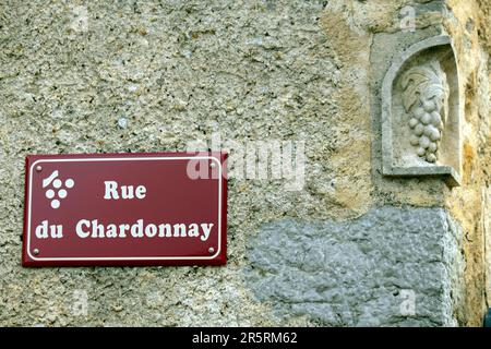 Frankreich, Jura, Pupillin, Straßenschild, Rue du Chardonnay, Skulpturen aus Trauben Stockfoto