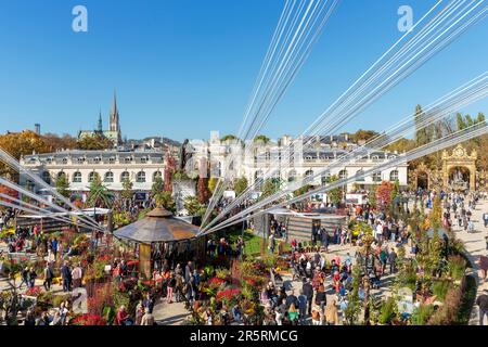 Frankreich, Meurthe et Moselle, Nancy, Stanislas-Platz (ehemaliger Königsplatz), erbaut von Stanislas Leszczynski, König von Polen und letzter Herzog von Lothringen im 18. Jahrhundert, von der UNESCO während der Veranstaltung Jardin Ephemere zum Thema Feuer 2022 zum Weltkulturerbe erklärt, hoher Blick vom Balkon des Stadthauses, Statue des Königs Stanislas, hier Bogen und St. Epvre Basilika im Hintergrund Stockfoto