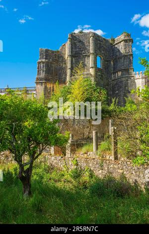 Portugal, Tomar, ehemaliger Sitz des Templerordens, Kloster Christi aus dem 12. Jahrhundert (UNESCO-Weltkulturerbe), Ruinen des Kapitelsaals Stockfoto