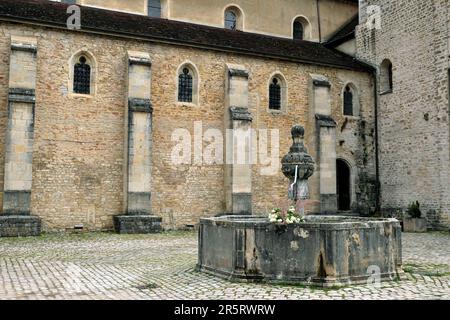 Frankreich, Jura, Baume les Messieurs, beschriftet mit Les Plus Beaux Villages de France (die schönsten Dörfer Frankreichs), Abtei Saint Pierre aus dem 11. Jahrhundert, Klosterhof, Brunnen aus dem 15. Jahrhundert Stockfoto