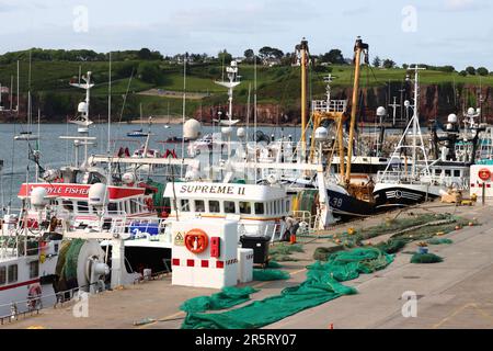 Fischereifahrzeuge im Hafen von Dunmore East, County Waterford, Irland Stockfoto