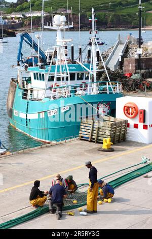 Fischereifahrzeuge im Hafen von Dunmore East, County Waterford, Irland Stockfoto