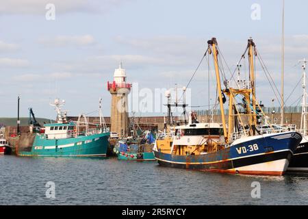 Fischereifahrzeuge im Hafen von Dunmore East, County Waterford, Irland Stockfoto