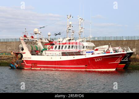 Fischereifahrzeuge im Hafen von Dunmore East, County Waterford, Irland Stockfoto