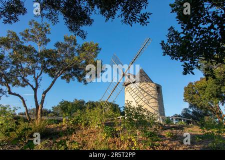 Frankreich, Var, Hyeres, Iles d'Hyeres, Nationalpark Port-Cros, Insel Porquerolles, windmühle moulin du Bonheur Stockfoto