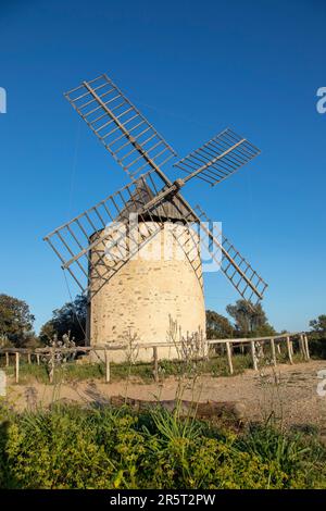 Frankreich, Var, Hyeres, Iles d'Hyeres, Nationalpark Port-Cros, Insel Porquerolles, windmühle moulin du Bonheur Stockfoto