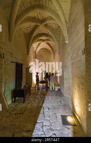 Frankreich, Indre et Loire, Loire-Tal, das von der UNESCO zum Weltkulturerbe erklärt wurde, Chinon, die verlorenen Seelen der Templer, Fluchtspiel in der königlichen Festung von Chinon Stockfoto