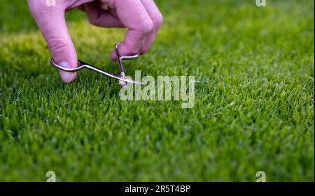 Symbol für einen Perfektionisten, der den Rasen mit einer kleinen Schere schneidet. Stockfoto