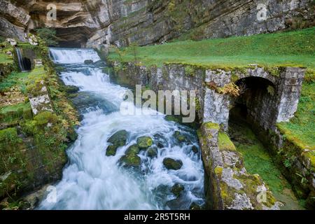 Frankreich, Doubs, Ouhans, Quelle des Flusses Loue, Wiederauferstehung des Flusses Doubs Stockfoto