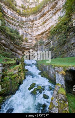 Frankreich, Doubs, Ouhans, Quelle des Flusses Loue, Wiederauferstehung des Flusses Doubs Stockfoto