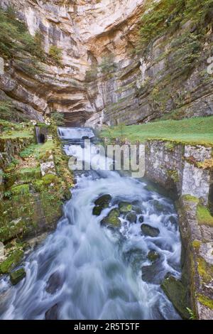 Frankreich, Doubs, Ouhans, Quelle des Flusses Loue, Wiederauferstehung des Flusses Doubs Stockfoto