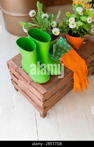 Nahaufnahme von grünem frischem Gras, flach liegend, mit roten und rosa Blumen, Strohhut, grünen Gummistiefeln und Gartengeräten Stockfoto