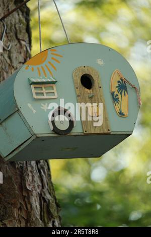 Ein Vogelhaus aus Holz, das an einem Baum in einem bewaldeten Bereich hängt, mit anderen Bäumen im Hintergrund Stockfoto