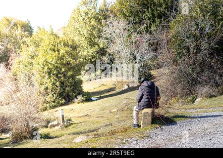 Ein männlicher Weißer führt zwei Hunde aus, einen kleinen schwarz-weißen und einen größeren dunkelbraunen, in der Nähe eines kleinen Teiches, der von einem üppigen Wald umgeben ist Stockfoto