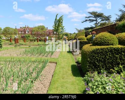 Stowmarket, Suffolk - 4. Juni 2023 : Helmingham Hall, Art and Gardens an einem heißen Sommernachmittag. Heimat der Tollemache-Familie. Gemüsegarten. Stockfoto