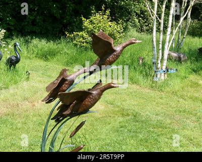 Stowmarket, Suffolk - 4. Juni 2023 : Helmingham Hall, Art and Gardens an einem heißen Sommernachmittag. Heimat der Tollemache-Familie. Vogelskulpturen. Stockfoto