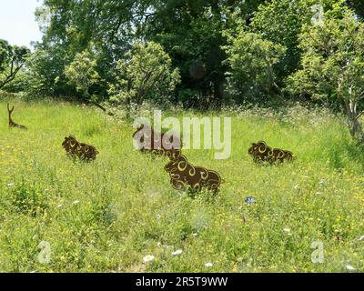 Stowmarket, Suffolk - 4. Juni 2023 : Helmingham Hall, Art and Gardens an einem heißen Sommernachmittag. Heimat der Tollemache-Familie. Schafskulpturen. Stockfoto