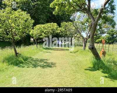 Stowmarket, Suffolk - 4. Juni 2023 : Helmingham Hall, Art and Gardens an einem heißen Sommernachmittag. Heimat der Tollemache-Familie. Der Applewalk. Stockfoto