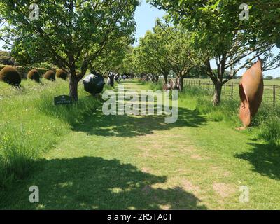 Stowmarket, Suffolk - 4. Juni 2023 : Helmingham Hall, Art and Gardens an einem heißen Sommernachmittag. Heimat der Tollemache-Familie. Der Applewalk. Stockfoto