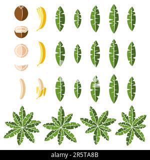 Farbdarstellung mit tropischen Palmen, Blättern, Kokosnuss und Banane. Isoliertes Vektorobjekt auf weißem Hintergrund. Stock Vektor
