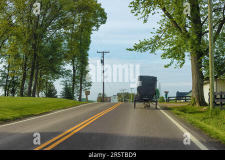 Im Amish Country, Ohio, USA, durch den Wind eines Amish-Pferdes und Buggys geschossen. Stockfoto