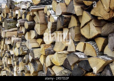 Schnittholz wird in Holzstapel gestapelt. Wand aus alten Holzstämmen mit gerissenen Enden, Vollrahmen. Selektiver Fokus. Stockfoto