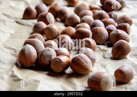 Reife Haselnüsse in einer Schale auf dem Hintergrund von zerknittertem Handwerkspapier. Gesunde Ernährung, ganze Filbert. Nahaufnahme. Geringe Schärfentiefe. Selektiver FOC Stockfoto