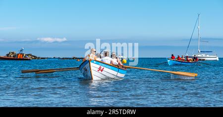 Crews, die bei sonnigem Wetter in den Skiffs Booten von St. Ayles in der Ruderregatta an der Küste rudern, Firth of Forth, Schottland, Großbritannien Stockfoto