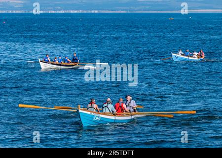 Crews, die bei sonnigem Wetter in den Skiffs Booten von St. Ayles in der Ruderregatta an der Küste rudern, Firth of Forth, Schottland, Großbritannien Stockfoto