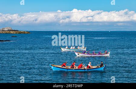 Crews, die bei sonnigem Wetter in den Skiffs Booten von St. Ayles in der Ruderregatta an der Küste rudern, Firth of Forth, Schottland, Großbritannien Stockfoto