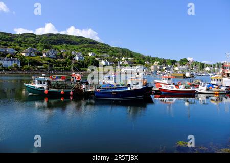 Tarbert, Schottland, Großbritannien. 5. Juni 2023 Das herrliche warme und sonnige Wetter setzt sich an der Westküste fort, und die Menschen genießen die Natur in einer attraktiven Umgebung mit den malerischen Dörfern entlang der Küste. Tarbert Hafen. Kredit: Craig Brown/Alamy Live News Stockfoto