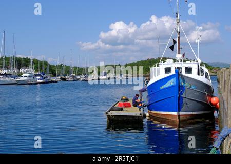 Tarbert, Schottland, Großbritannien. 5. Juni 2023 Das herrliche warme und sonnige Wetter setzt sich an der Westküste fort, und die Menschen genießen die Natur in einer attraktiven Umgebung mit den malerischen Dörfern entlang der Küste. Ich lackiere die Bootswartung im Hafen von Tarbert. Kredit: Craig Brown/Alamy Live News Stockfoto