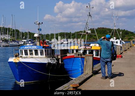 Tarbert, Schottland, Großbritannien. 5. Juni 2023 Das herrliche warme und sonnige Wetter setzt sich an der Westküste fort, und die Menschen genießen die Natur in einer attraktiven Umgebung mit den malerischen Dörfern entlang der Küste. Tarbert Hafen. Kredit: Craig Brown/Alamy Live News Stockfoto