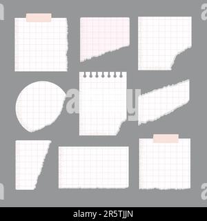 Vektor-zerrissene Notizzettel, Set für Sammelalben, Notizbuch. Stock Vektor