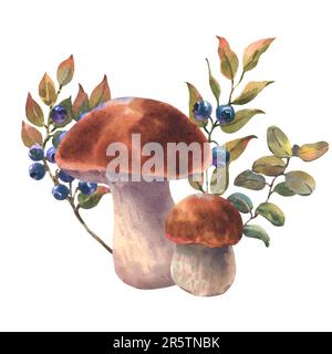 Pilze Waldbohnen mit Gras und Heidelbeeren. Aquarelldarstellung, handgezeichnet, isoliert auf weißem Hintergrund. Stockfoto