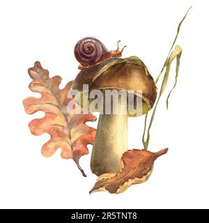 Herbstfarben mit Pilzen, Herbstblättern, Grashalm, Schnecke auf Pilzkappe. Handgezeichnet, isoliert auf weißem Hintergrund Stockfoto