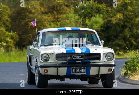 Stony Stratford, Großbritannien - 4. 2023. Juni: 1966 WEISSER FORD MUSTANG-Klassiker, der die amerikanische Flagge fliegt und auf einer englischen Landstraße fährt. Stockfoto