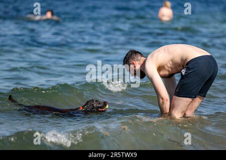 Ian Agnew aus Ballyeaston spielt Fetch mit seinem sechs Jahre alten Cocker Spaniel George in Helen's Bay in Bangor, Nordirland. Foto: Montag, 5. Juni 2023. Stockfoto