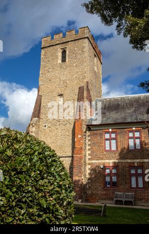 Der Turm von St. Peters Church in der Stadt Maldon in Essex, Großbritannien. Der Turm ist jetzt Teil der Thomas Plume Library. Stockfoto