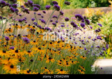 Dieser lebendige Garten ist voller Blüten in Gelb- und Violetttönen Stockfoto