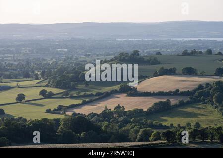 Ackerland und Bäume füllen die Weidelandschaft des Tals von Berkeley neben der Severn-Mündung in Gloucestershire, mit dem Wald von Dean dahinter. Stockfoto