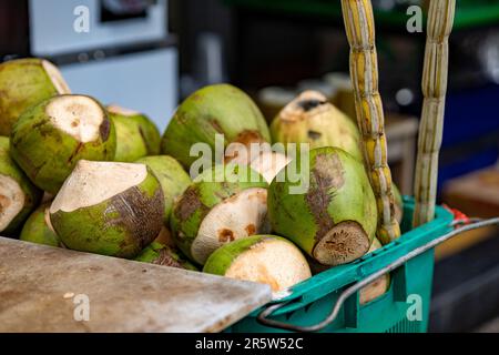 Auf einer weißen Theke befindet sich ein Korb aus weißem Korb mit frisch geernteten Kokosnüssen Stockfoto