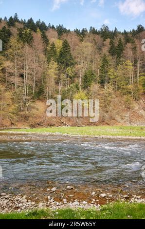 Dunajec River in den Pienin Mountains, Polen. Stockfoto