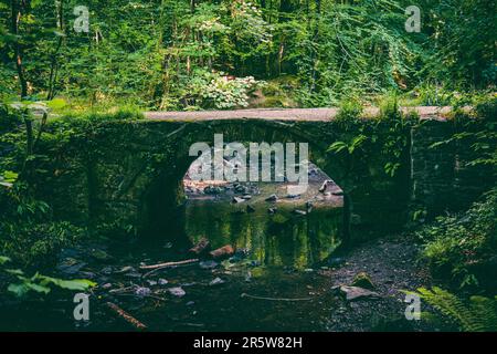 Eine wunderschöne verwitterte Steinbrücke über einen Bach in einem üppigen Wald Stockfoto