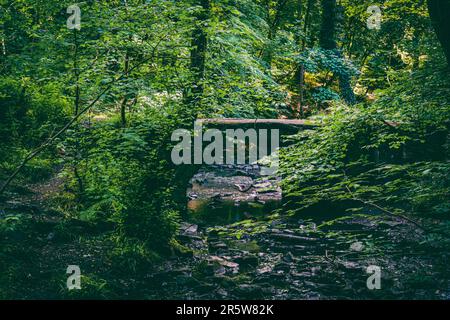 Eine wunderschöne verwitterte Steinbrücke über einen Bach in einem üppigen Wald Stockfoto