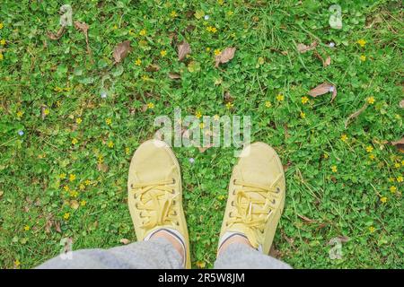 Gelbe Turnschuhe auf einer grünen Frühlingswiese mit gelben Blumen, Frühlingsbeginn und Reisezeit. Blickwinkel der ersten Person, Draufsicht mit Kopie Stockfoto