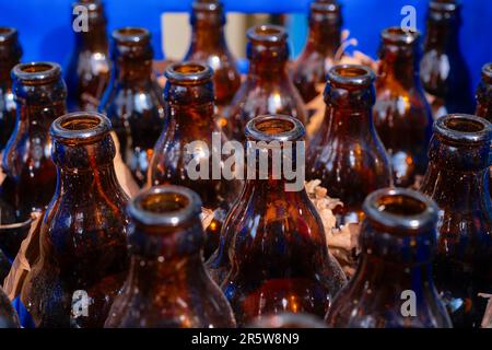Leere Bier schmutzige Flaschen in einer Schublade neben einem Café oder einer Bar, selektiver Fokus, Materialrecycling und Wiederverwendung von Glasflaschen Stockfoto