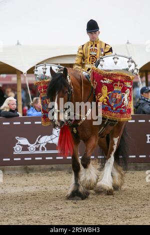 Drum Shire Horse Apollo bei der Royal Windsor Horse Show 2023, Aufführung mit den Household Cavalry, Blues und Royals Stockfoto