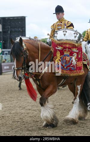 Drum Shire Horse Apollo bei der Royal Windsor Horse Show 2023, Aufführung mit den Household Cavalry, Blues und Royals Stockfoto