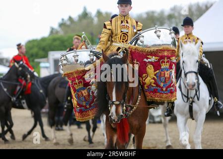 Drum Shire Horse Apollo bei der Royal Windsor Horse Show 2023, Aufführung mit den Household Cavalry, Blues und Royals Stockfoto